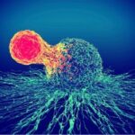 T-cell cancer