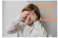level 2 autism