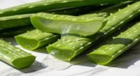 Aloe vera for skin