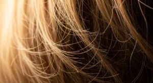 Argan oil shampoo for dry damaged hair close up texture